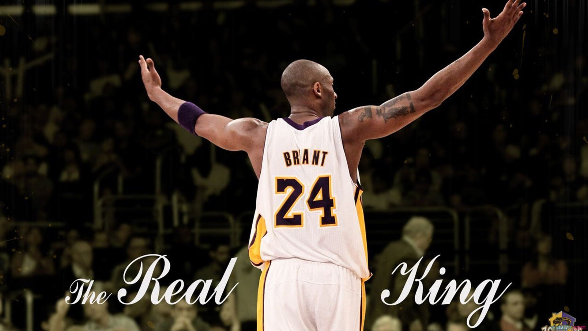 女子拳击锦标赛新秀横空出世，最新女子拳击